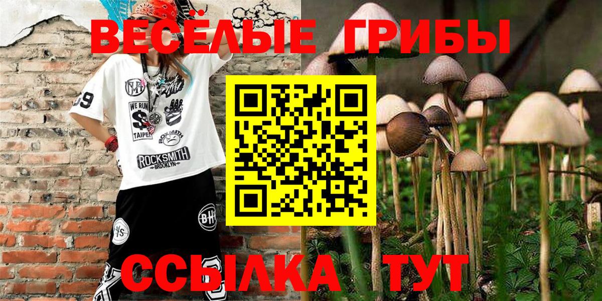 Дербент  Галлюциногенные грибы прущие грибы  Вход с VPN 